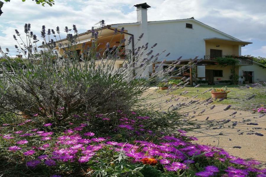 Norina Apartma